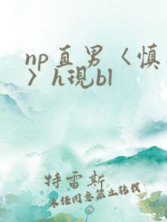 np直男〈慎入〉h现bl