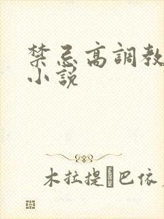 禁忌高调教高h小说