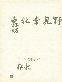 东北常见野生蘑菇