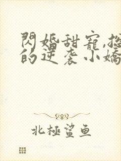 闪婚甜宠,总裁的逆袭小娇妻免费阅读