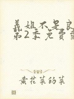 义姐不是良妈妈第2季免费观看全集