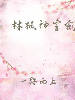 林枫神霄剑修