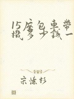 15座包车带司机多少钱一天 15座包车带司机多少钱一天