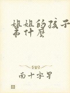 姐姐的孩子喊弟弟什么