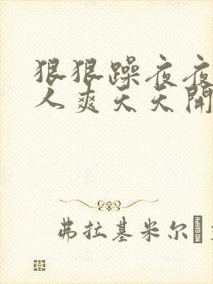 狠狠躁夜夜躁人人爽天天开心婷婷