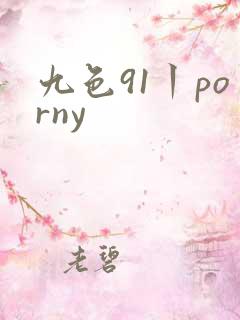 九色91丨porny