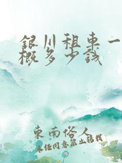 银川租车一天大概多少钱