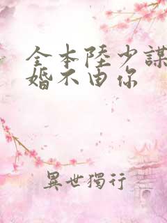 全本陆少谋妻之婚不由你