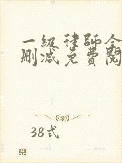 一级律师全文无删减免费阅读