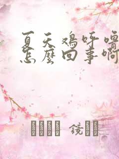 夏天鸡呼噜呼噜怎么回事啊