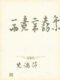 一妻二夫年代文两兄弟的小说