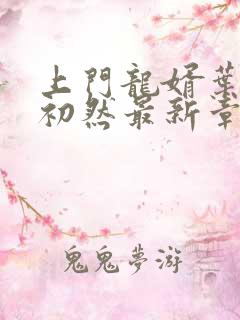 上门龙婿叶辰萧初然最新章节全文免费阅读