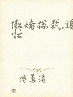 傲娇总裁,追妻忙