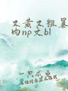又黄又粗暴的纯肉np文bl