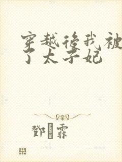 穿越后我被迫成了太子妃