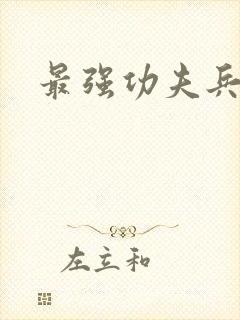 最强功夫兵王