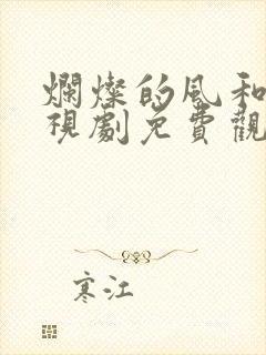 烂灿的风和海电视剧免费观看