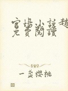 官场小说赵国栋免费阅读