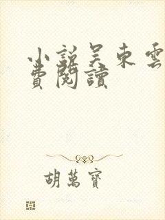 小说吴东云汐免费阅读