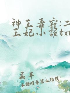 神王毒宠:二嫁王妃小说txt