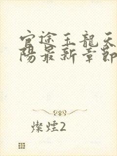 官途玉龙天骄叶阳最新章节在线阅读