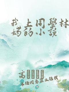 我上同学林虎妈妈的小说