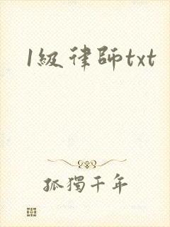 1级律师txt