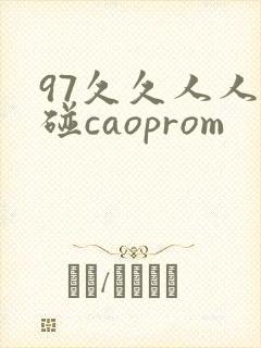 97久久人人超碰caoprom