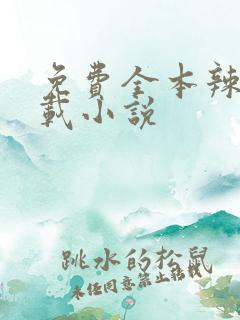 免费全本辣文下载小说