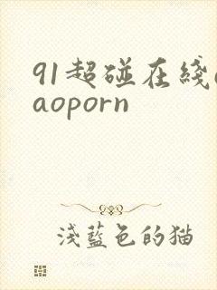 91超碰在线caoporn
