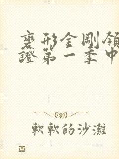变形金刚领袖之证第一季中文版