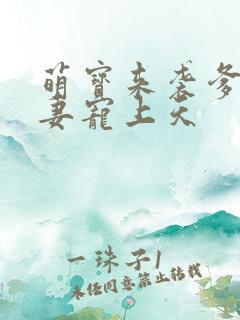 萌宝来袭爹地追妻宠上天