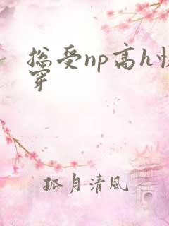 总受np高h快穿
