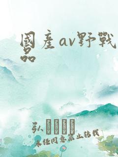 国产av野战精品