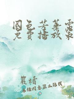 国色芳华电视剧免费播放策驰影视