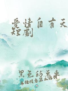 爱情自有天意2短剧