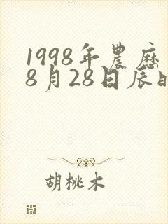 1998年农历8月28日辰时生辰八字