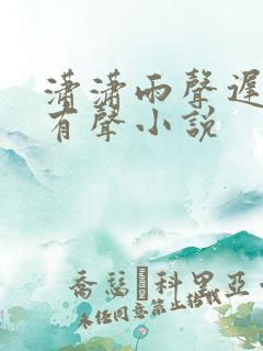 潇潇雨声迟小说有声小说