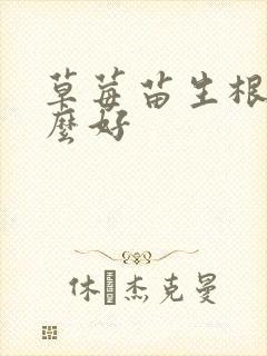 草莓苗生根用什么好