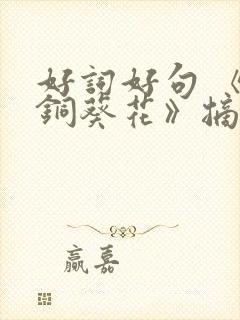 好词好句 《青铜葵花》摘抄