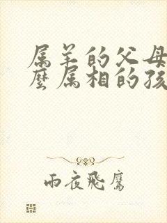属羊的父母生什么属相的孩子好
