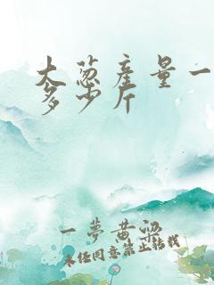 大葱产量一亩有多少斤