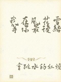 我在风花雪月里等你最后结局