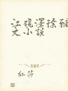 江砚泽徐雅稚全文小说