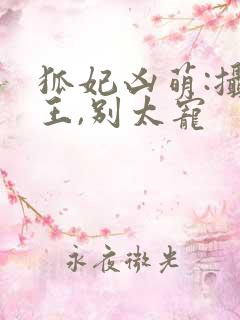 狐妃凶萌:摄政王,别太宠