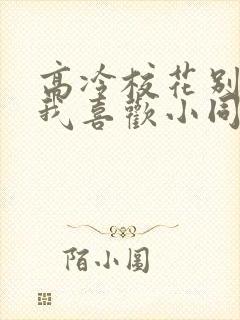 高冷校花别追了我喜欢小同桌