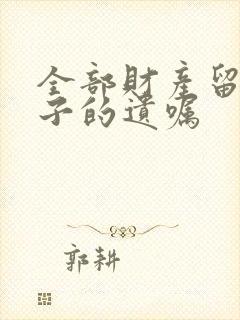 全部财产留给孩子的遗嘱