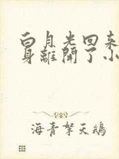 白月光回来后替身离开了小说