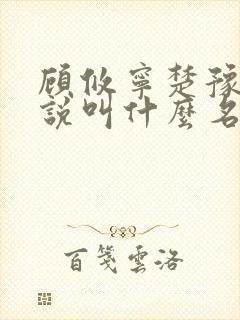 顾攸宁楚豫的小说叫什么名字