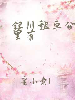 银川租车公司哪里有